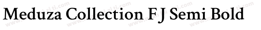 Meduza Collection FJ Semi Bold Text字体转换